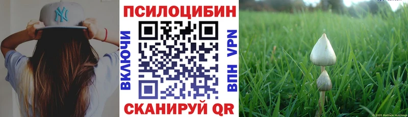 Псилоцибиновые грибы мухоморы  закладки  Нижний Тагил 